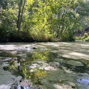 Meet your Posher, Kai